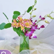 plus会员：远方的花 小春日 鲜花速递