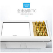 FAENZA 法恩莎 FYB001AJ 集成吊顶三合一暖风浴霸