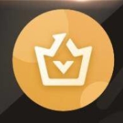 爱奇艺黄金会员年卡+京东PLUS会员年卡 联合会员