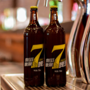 泰山啤酒  8°P 7天原浆啤酒  720ml*6瓶