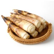 联承 临安 现挖鲜春笋整箱 5斤
