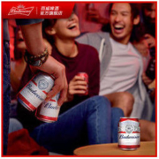 百威（Budweiser）啤酒迷你啤酒255ml*24罐整箱装