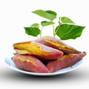 云耕东犁 皴皮板栗香薯 黄心红薯  2.5kg 单果约3-8两