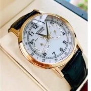 CITIZEN 西铁城 AO9000-06B 男士光动能腕表
