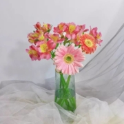 plus会员：远方的花 复苏 鲜花速递