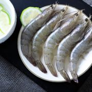 心安一味 盐冻厄瓜多尔白虾 1.65kg