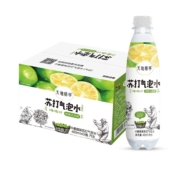 天地精华 白桃/卡曼橘 味 苏打气泡水 480ml*15瓶