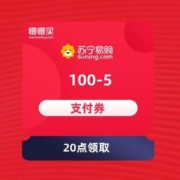 20点：苏宁 100-5元 支付券
