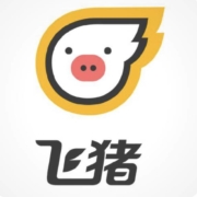 移动端：飞猪 10元无门槛火车票券