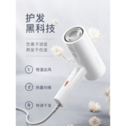 Reepro 迷你负离子电吹风
