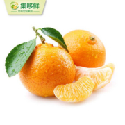 【集哆鲜】四川无籽沃柑5斤