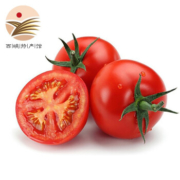 西红柿  新鲜蔬菜 四川米易 番茄 2500g