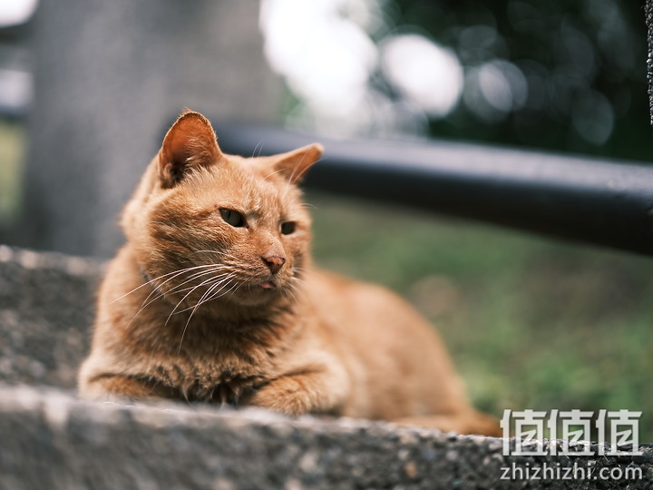 Fujifilm GFX100S 评测报告｜中画幅 x 一亿像素 x 高便携性