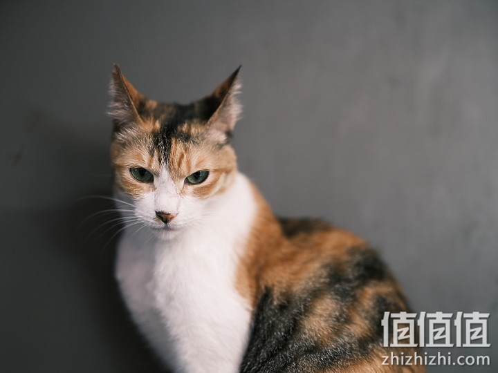Fujifilm GFX100S 评测报告｜中画幅 x 一亿像素 x 高便携性