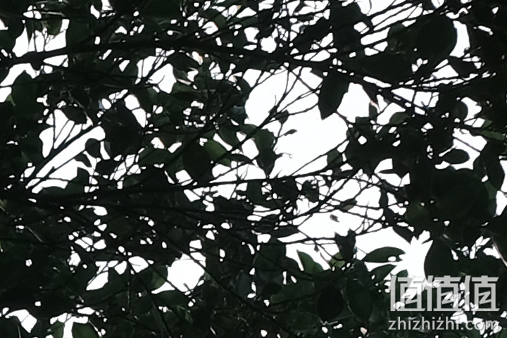 Fujifilm X-E4 超轻巧登场+ XF27mm F2.8 R WR 新镜动手玩！