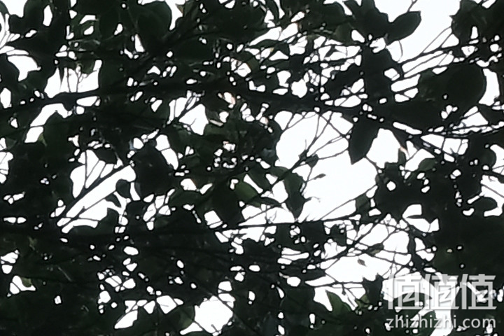 Fujifilm X-E4 超轻巧登场+ XF27mm F2.8 R WR 新镜动手玩！