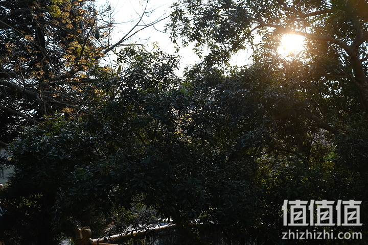 Fujifilm X-E4 超轻巧登场+ XF27mm F2.8 R WR 新镜动手玩！
