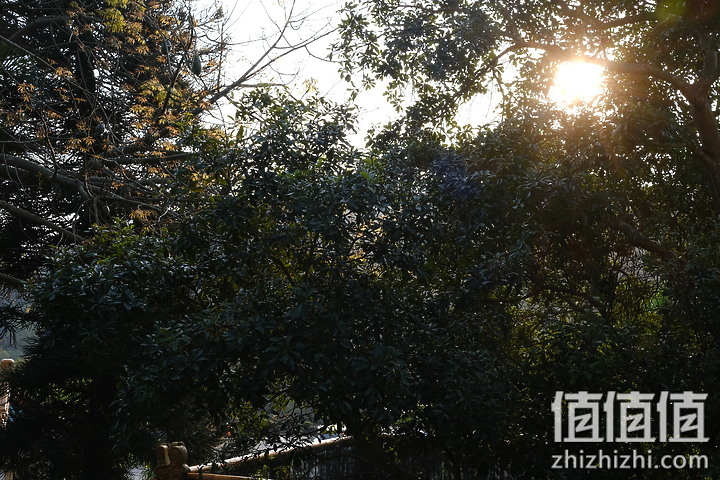 Fujifilm X-E4 超轻巧登场+ XF27mm F2.8 R WR 新镜动手玩！