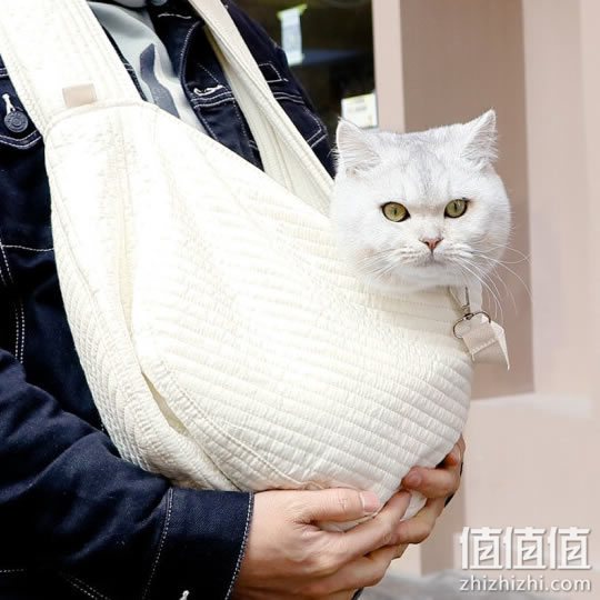 猫包哪款好？最佳猫包推荐