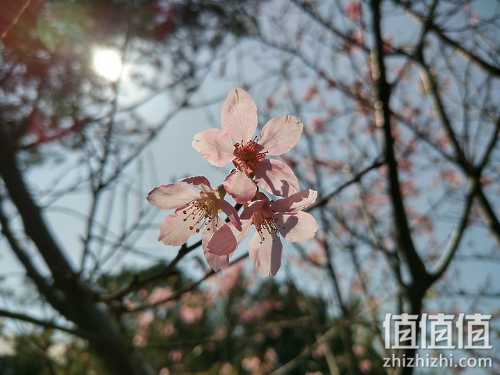 千元机谁更强?Nokia 5.4 / Realme 7 / 红米Note9T 综合评测