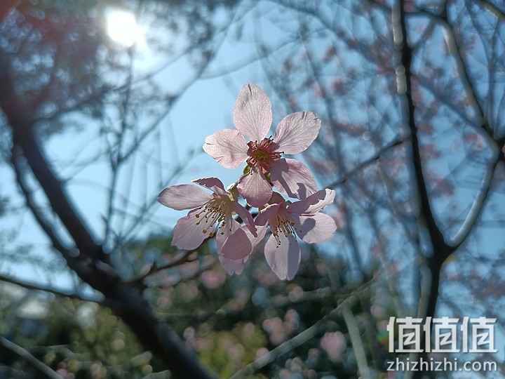 千元机谁更强?Nokia 5.4 / Realme 7 / 红米Note9T 综合评测