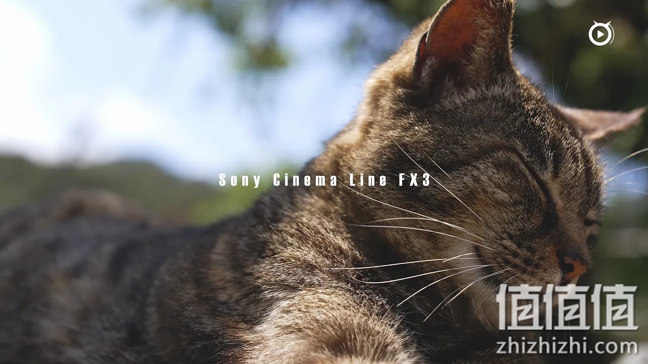 Sony 索尼 FX3 评测报告