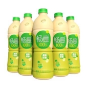 伊利 畅意 100%乳酸菌饮品 1.25L单瓶装