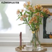 新客送花瓶！FlowerPlus 花加 六出花10枝 19.9元包邮（需用券）