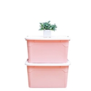 Citylong 禧天龙 加厚收纳箱55L 2个装