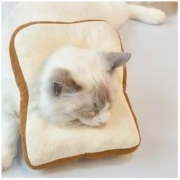 卡盼 猫咪伊丽莎白圈