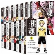 《棋魂》漫画 全23本 修订版