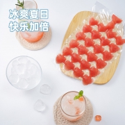 展艺 ZY5082 一次性冰格袋 20片装