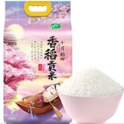 十月稻田香稻贡米 5kg *2件