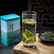 崂山绿茶 2021新茶礼盒装125g*4罐
