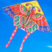 送30m线板！儿童微风易飞新款潍坊风筝