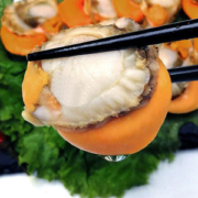 星渔 新鲜冷冻扇贝肉 3斤 40-60粒/斤