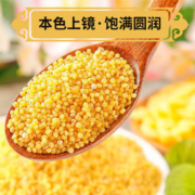 谷乐松 农家自产黄小米 5斤