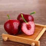 PLUS会员： 农大腕儿 大连美早樱桃 净重1.8斤