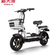 遥控电子锁车！PALLA 新大洲 TDT13-1Z 新国标电动车