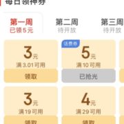 某东极速版 百元生活费
