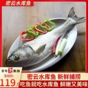 首农旗下 百年栗园 北京密云水库白鲢鱼 1.2kg/条