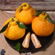 18点开始：鲜菓篮 不知火丑橘 5斤装 精选果 *2件