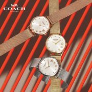 某猫¥1060！COACH 蔻驰 PERRY系列 星星表盘钢带石英手表 14503521 到手￥658.23