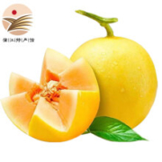 蒲江馆 甜瓜  黄金蜜瓜 约4-5.5斤 *2件