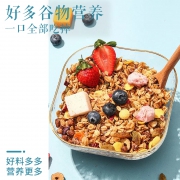 绿瘦 酸奶坚果果粒 烘焙麦片400g袋装