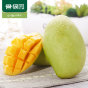 核薄无丝、单果重200g：誉福园 越南进口玉芒 9斤大果