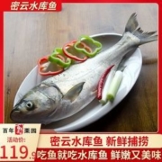 百年栗园 北京密云水库白鲢鱼 1.2kg/条*2条