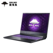 Terrans Force 未来人类 DR521 15.6英寸游戏笔记本电脑（i7-10870H、16GB、512GB、RTX 3060）