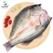 PLUS会员！仙泉湖 国产大口黑鲈鱼净膛 350g