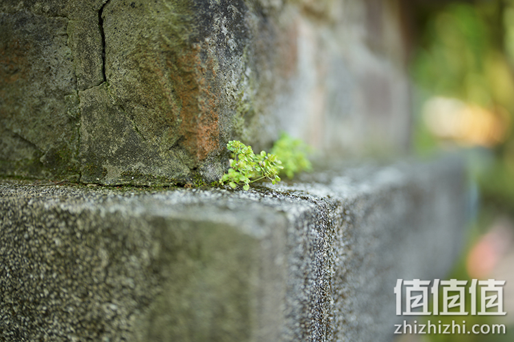 Sony FE 50mm F1.2 GM 人像定焦镜评测 索尼镜头制造技术的展现